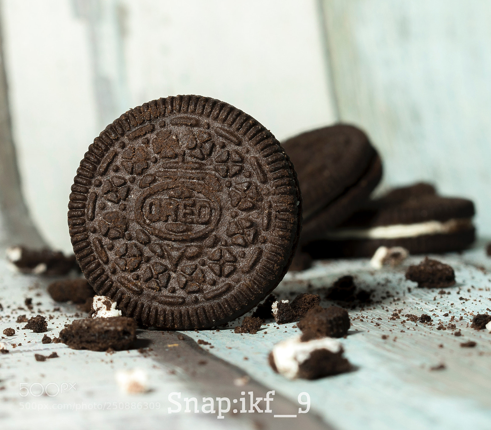 Canon EOS 7D Mark II sample photo. Untitled photography