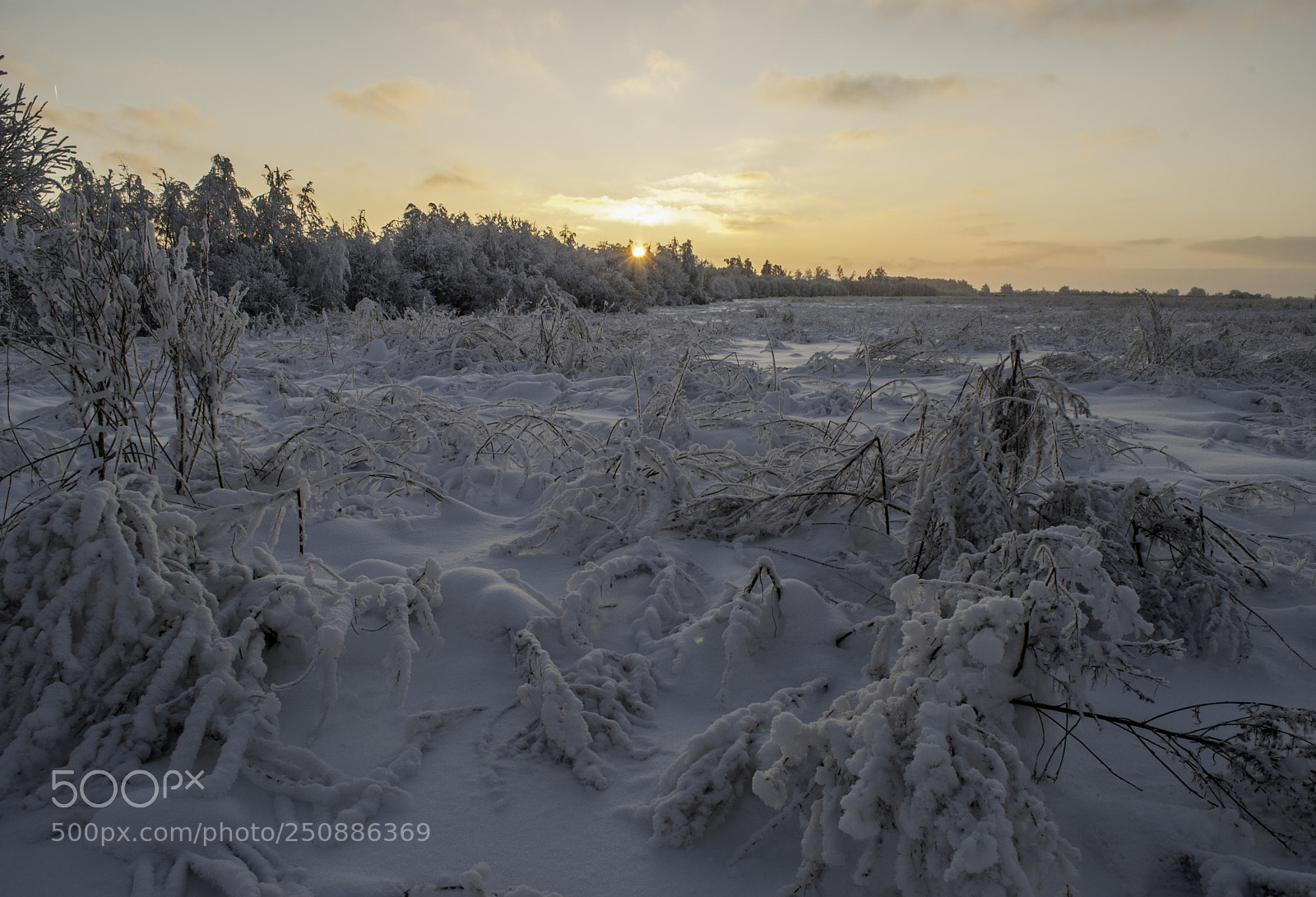 Nikon D80 sample photo. Lots of snow photography