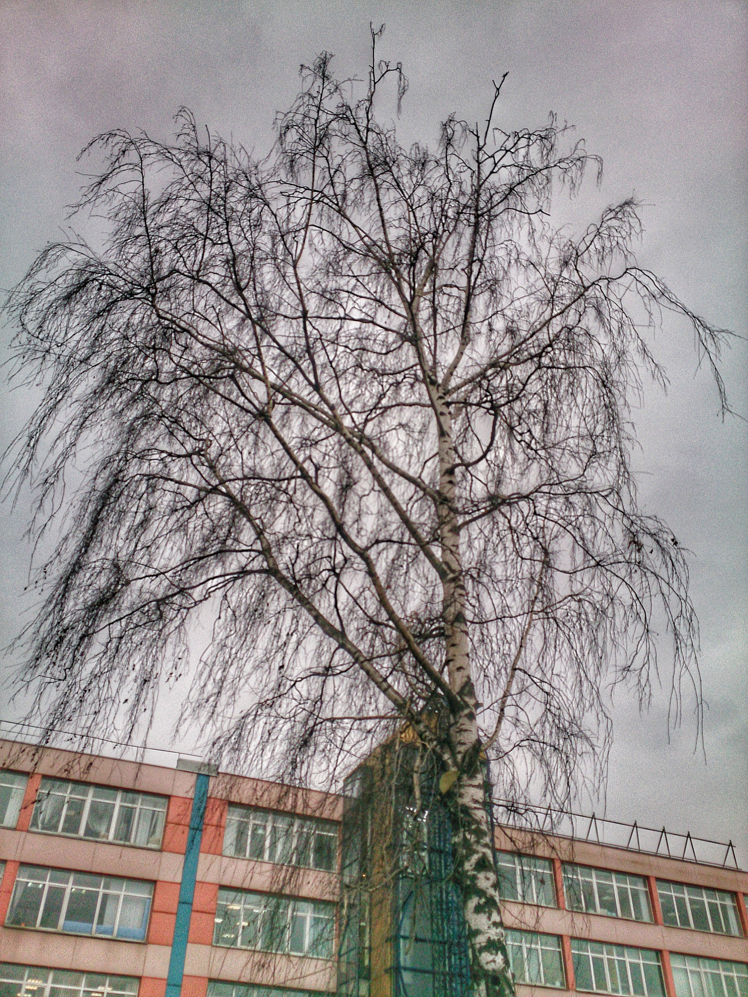 Sony Xperia ZR sample photo. Noname photography