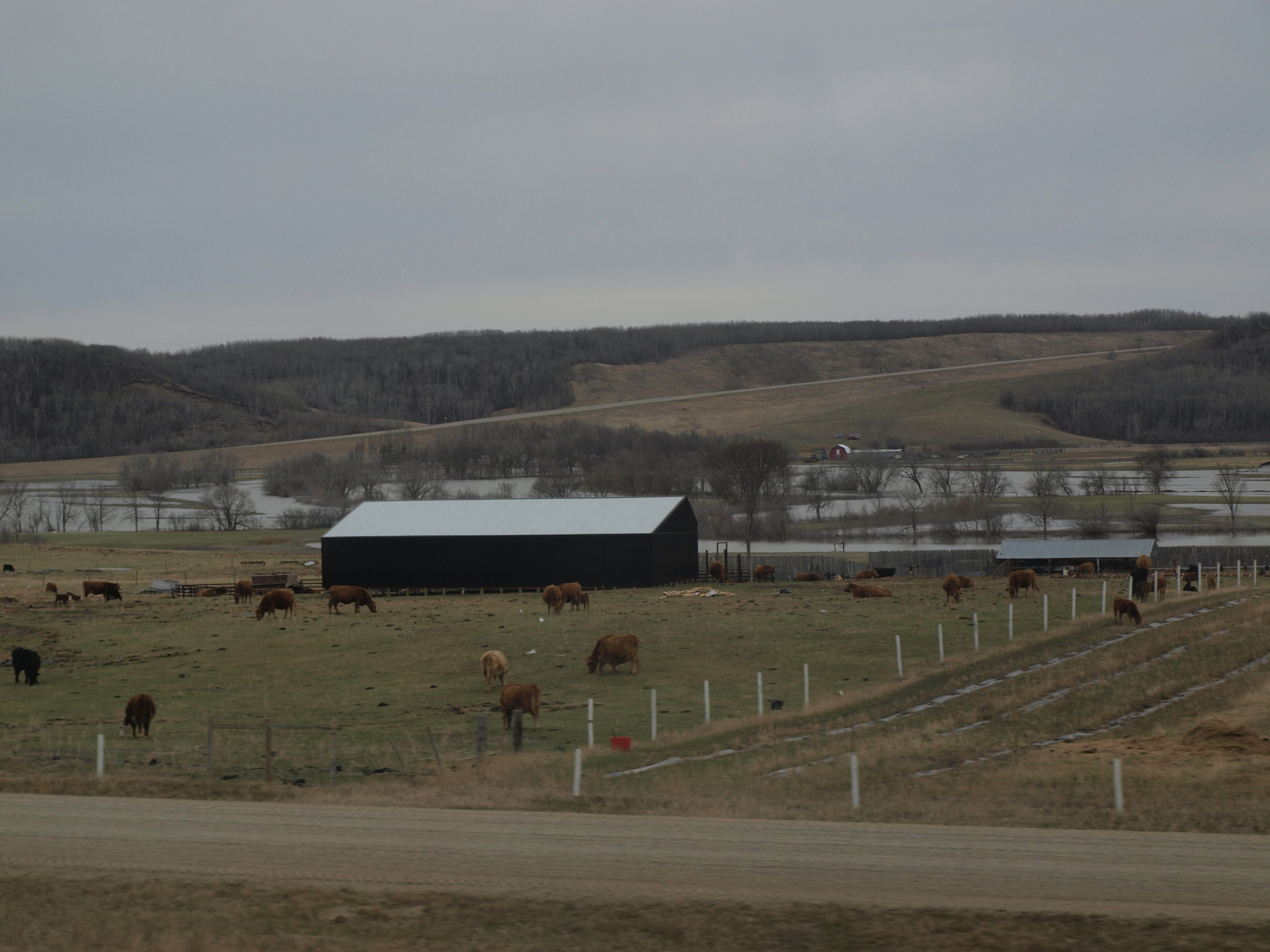 Olympus E-450 (EVOLT E-450) sample photo. Ranch dans les grandes plaines photography