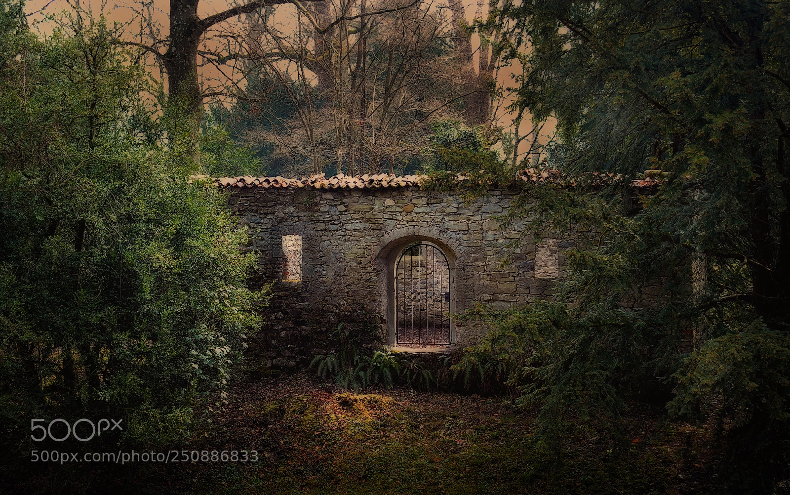 Nikon D700 sample photo. Degelstein ruine photography