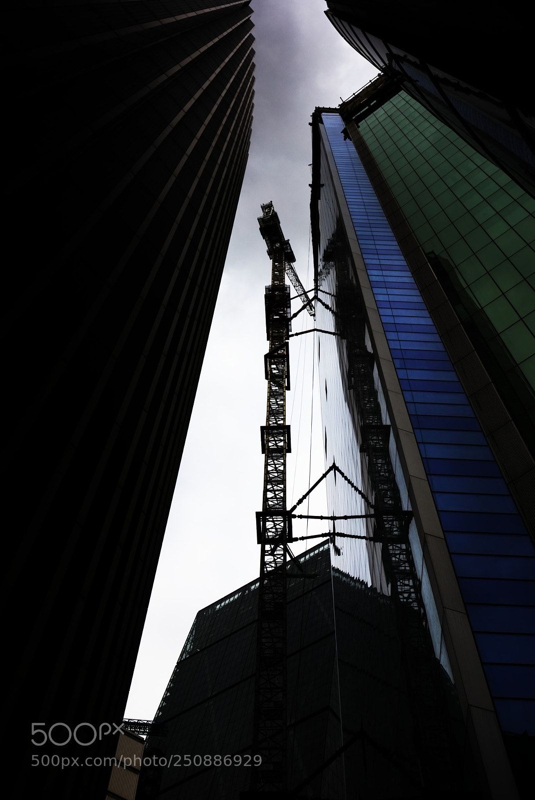 Nikon D810 sample photo. Perspective ii photography
