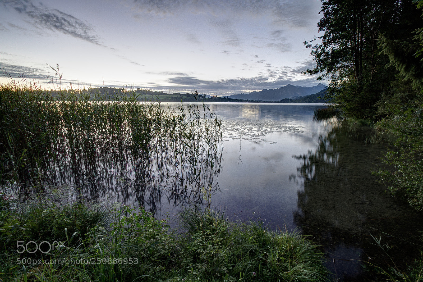 Sony SLT-A35 sample photo. Blue hour at lakeside photography