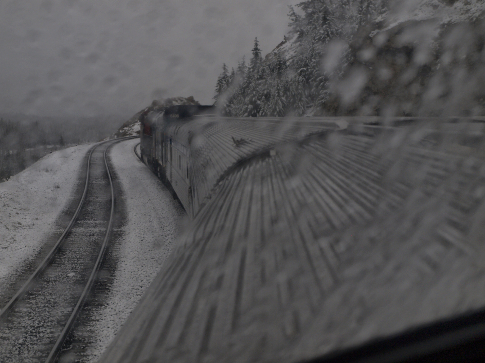 Olympus E-450 (EVOLT E-450) sample photo. A travers la neige photography