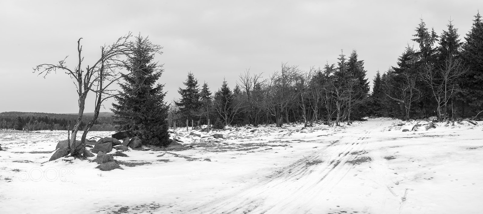 Nikon D600 sample photo. Last winter week photography