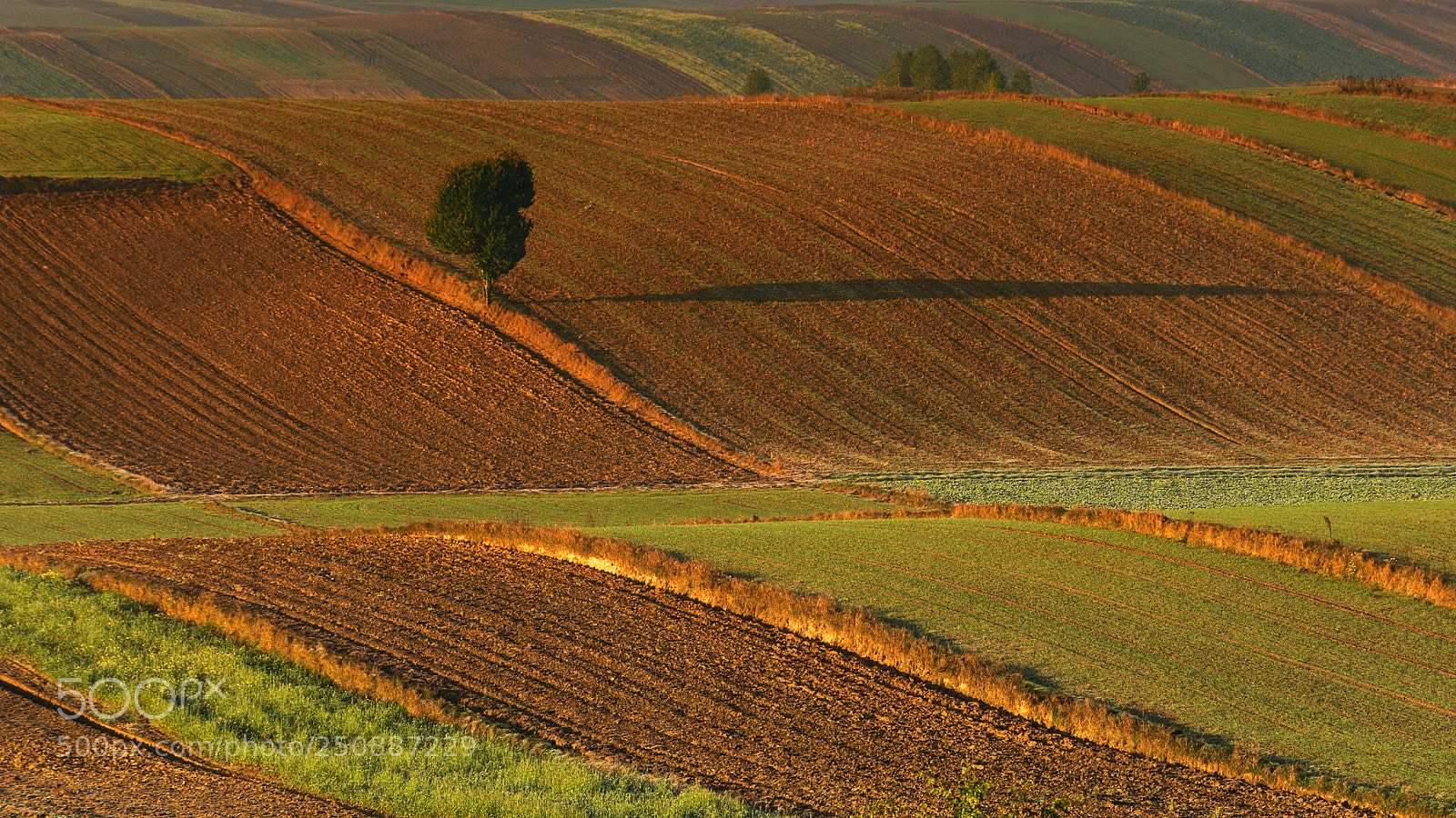 Pentax K200D sample photo. Long shadow photography