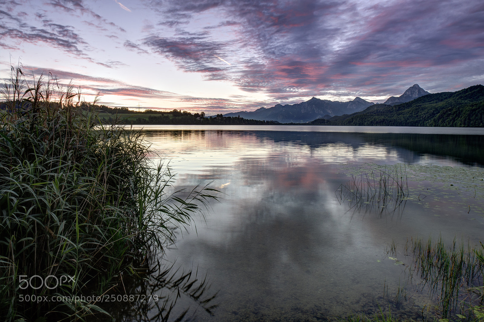 Sony SLT-A35 sample photo. Blue hour at lakeside photography