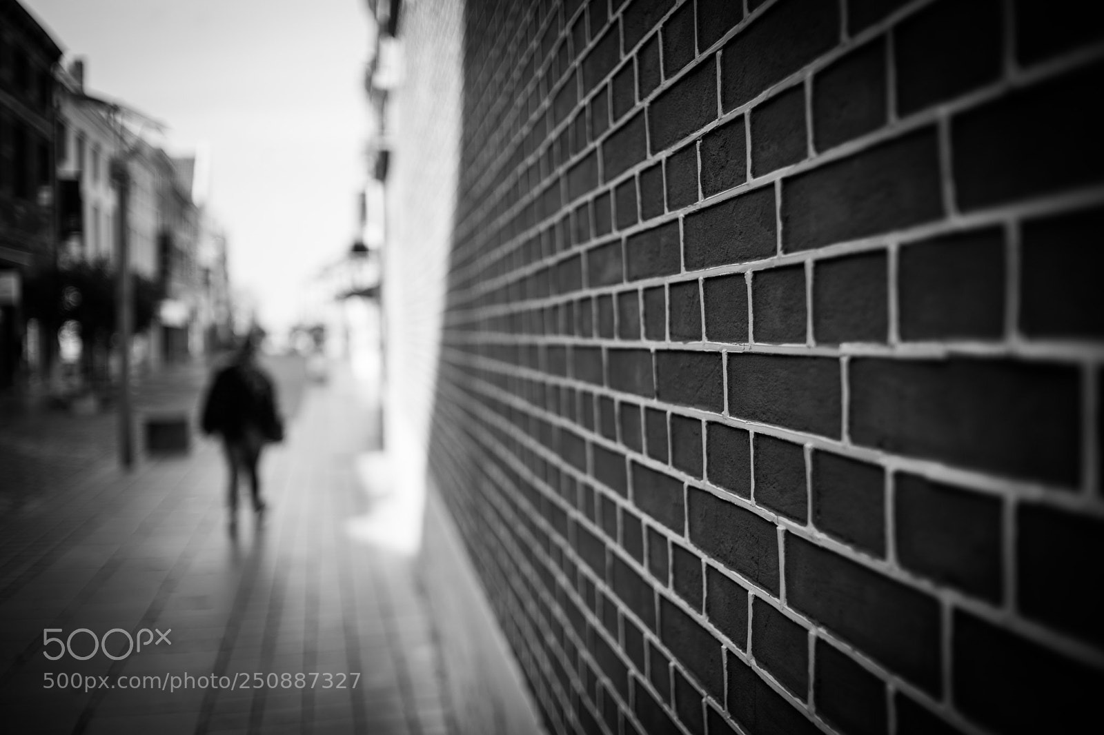 Canon EOS 6D Mark II sample photo. Maaseik photography
