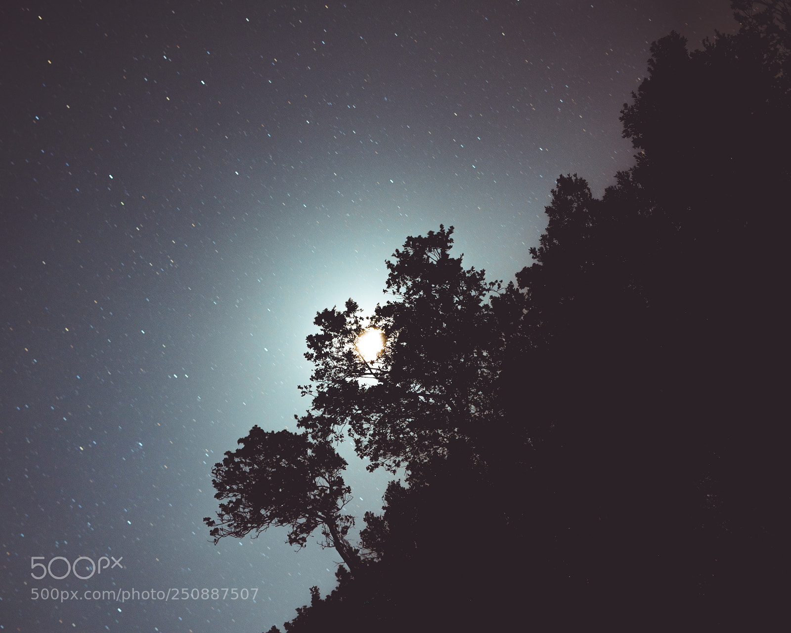 Sony a7R II sample photo. Watching the stars photography