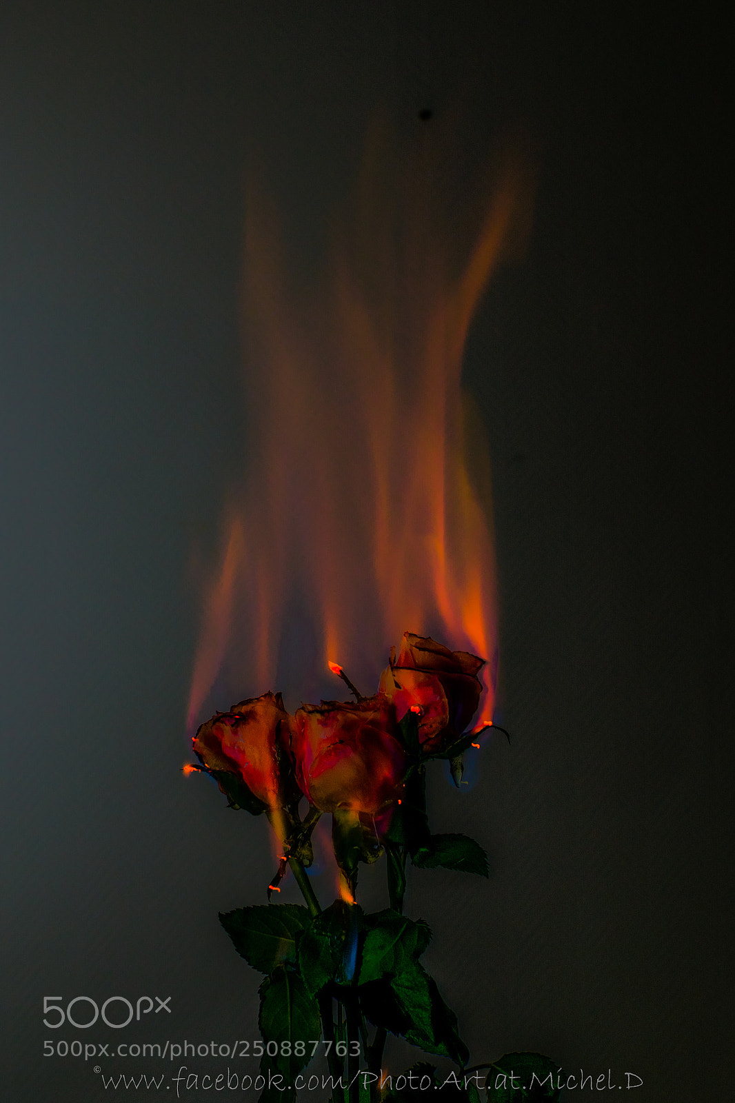 Nikon D5300 sample photo. Burning photography