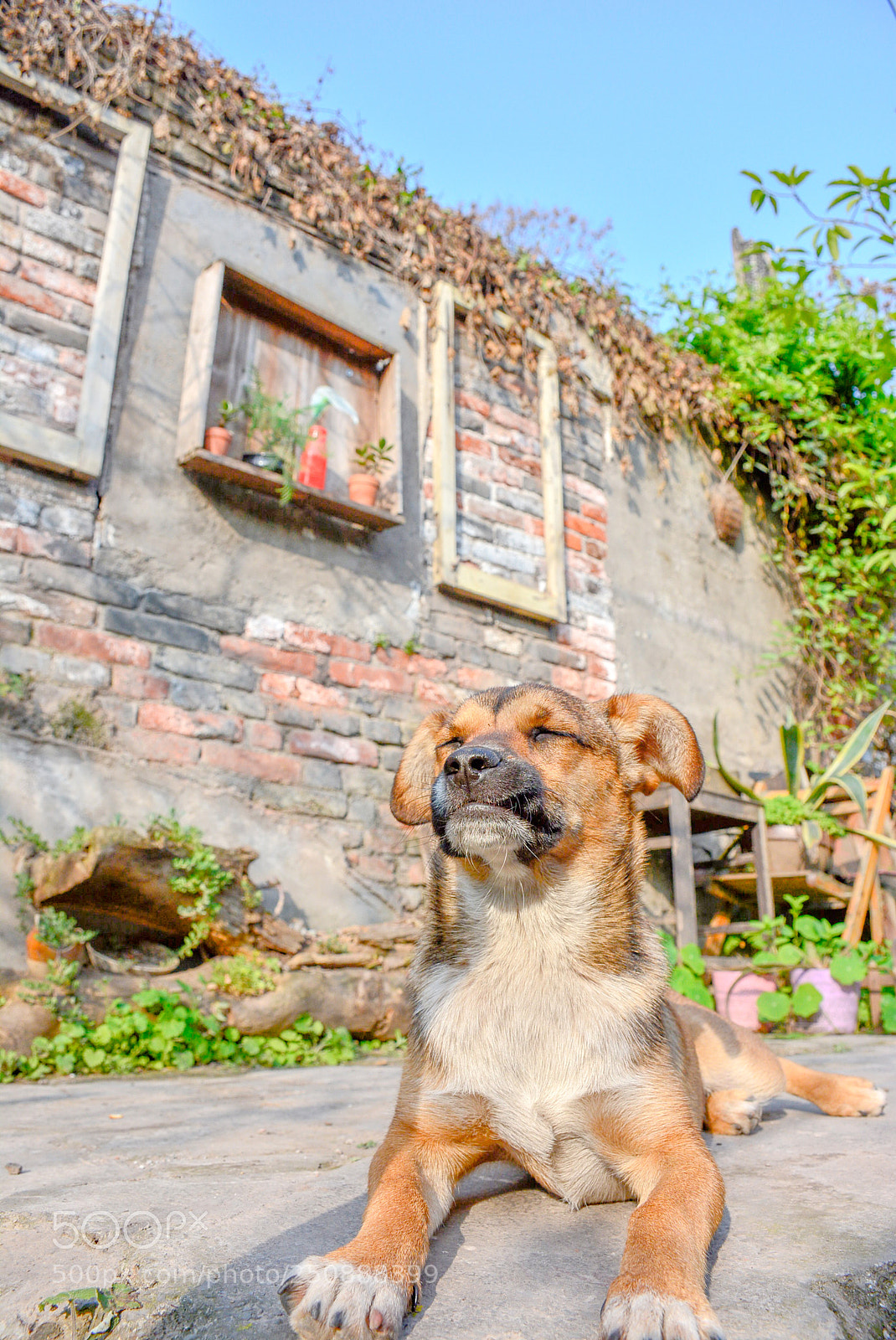 Nikon D7100 sample photo. Untitled photography