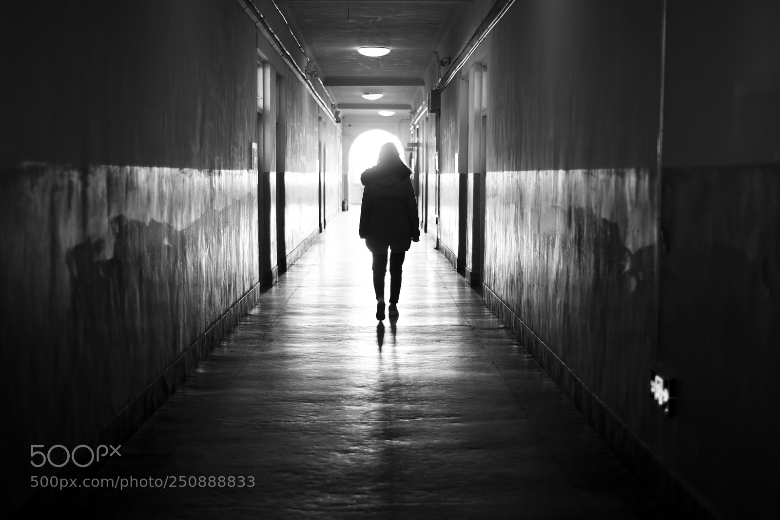 Nikon D810 sample photo. Untitled photography