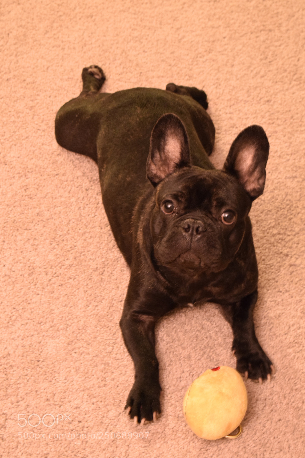 Nikon D3300 sample photo. Dsc photography