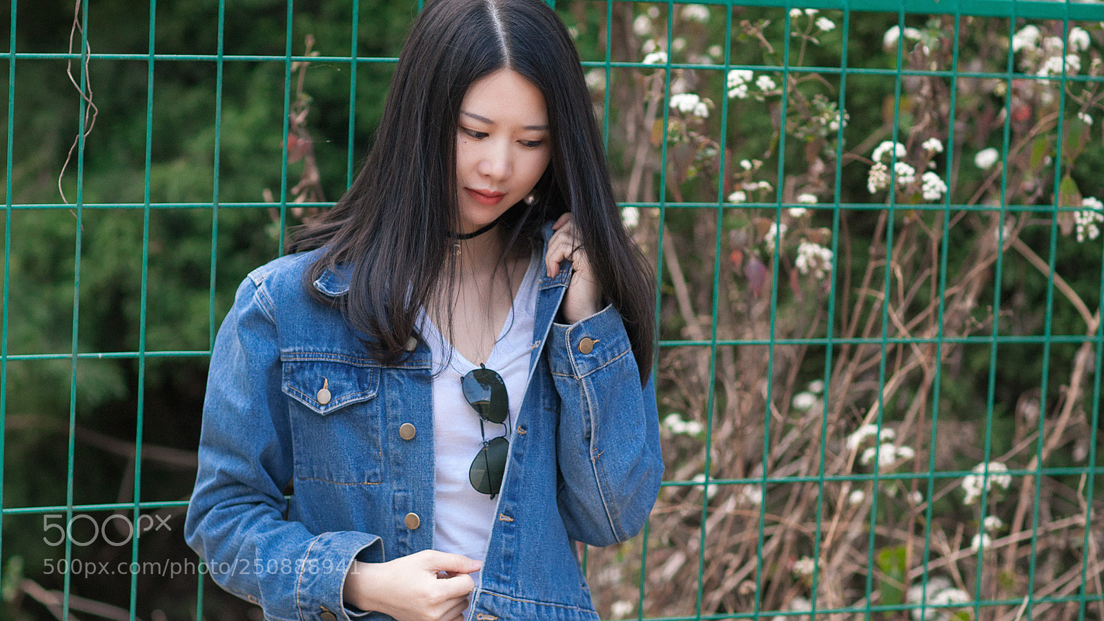 Canon EOS 5D Mark II sample photo. Untitled photography
