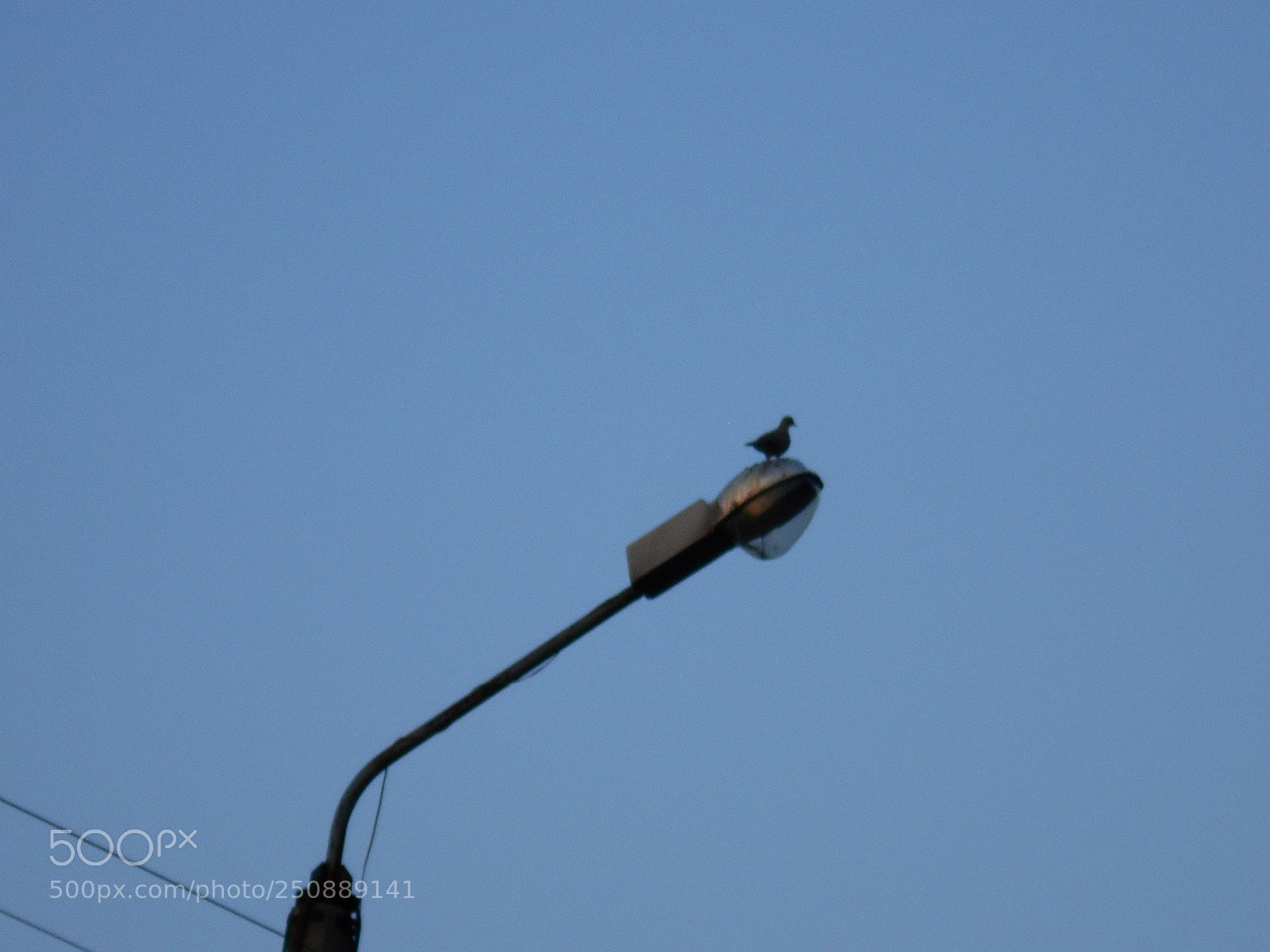 Nikon Coolpix A100 sample photo. Eorig photography