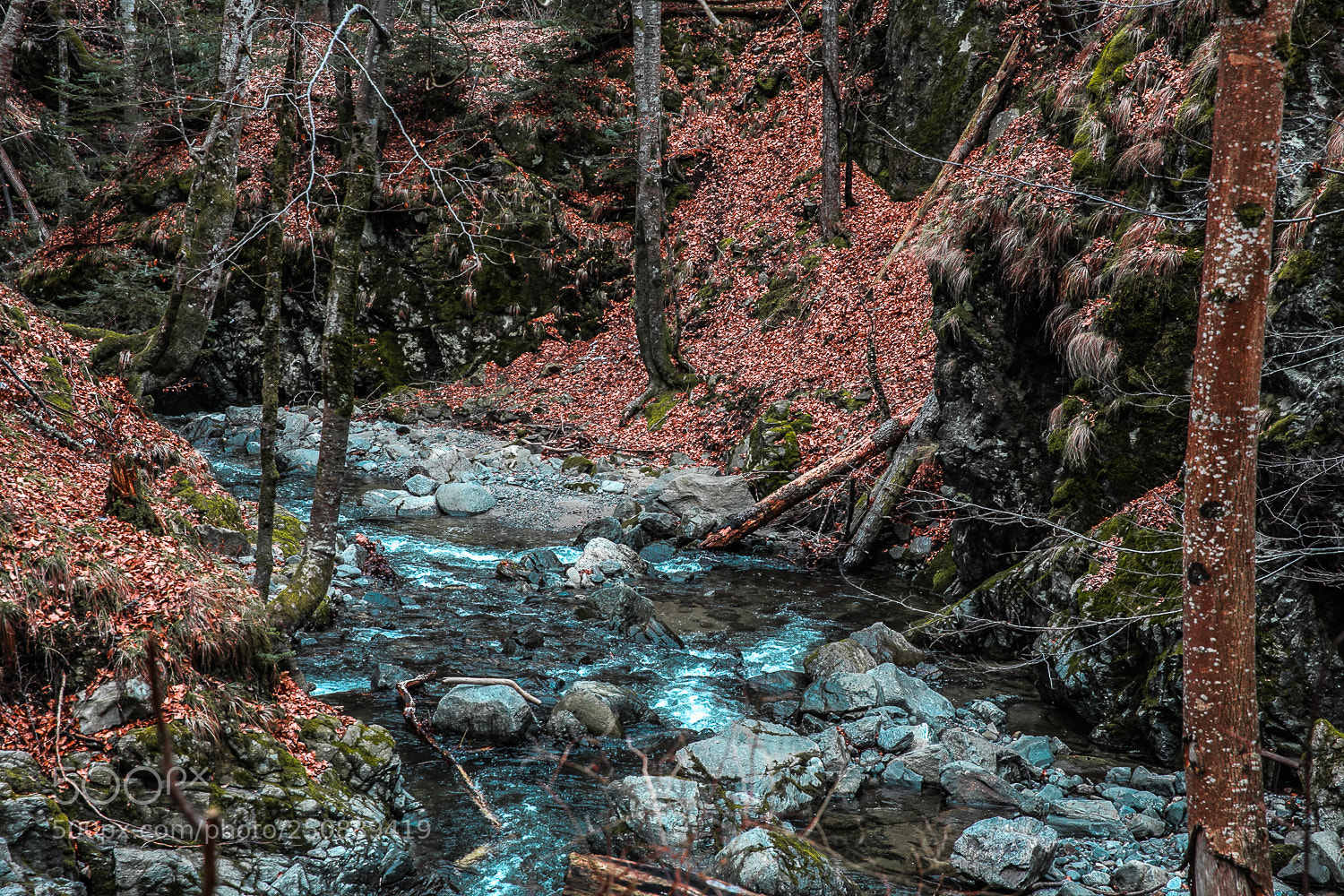 Canon EOS 5D Mark IV sample photo. Lsa photography