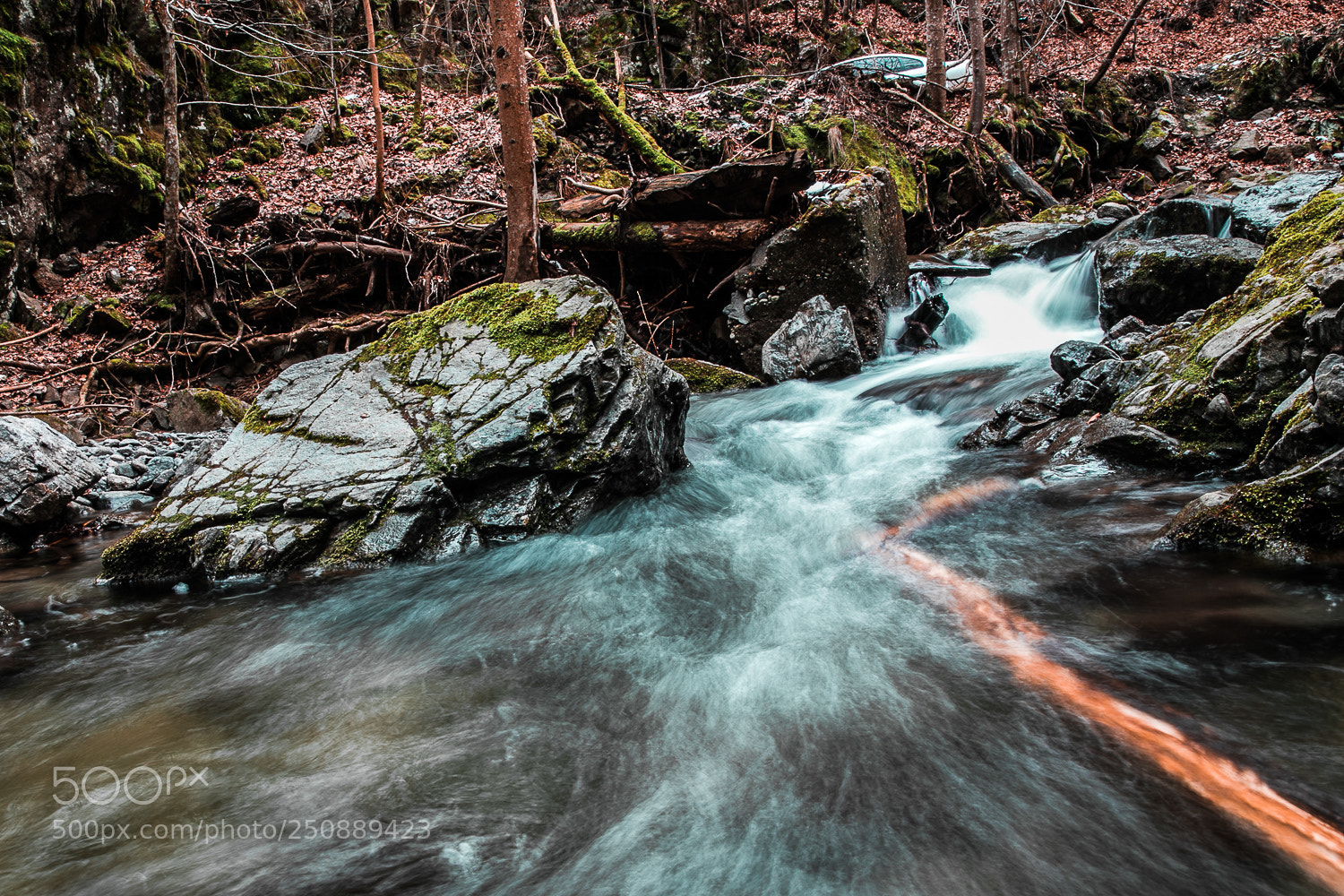Canon EOS 5D Mark IV sample photo. Lsa photography