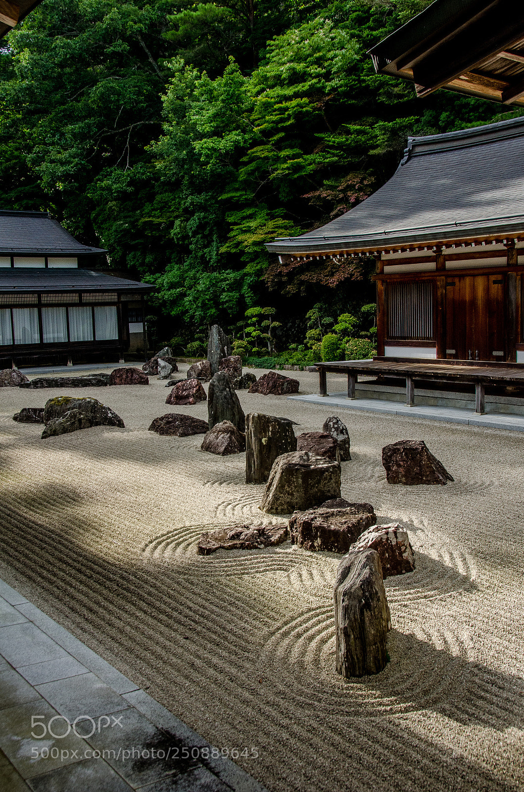 Nikon D7000 sample photo. Jardín zen photography