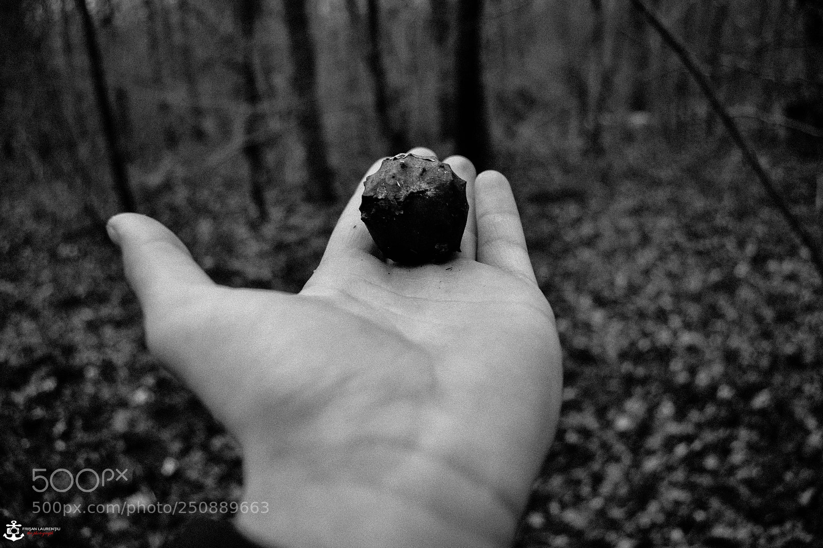 Nikon D3100 sample photo. Black and white photography