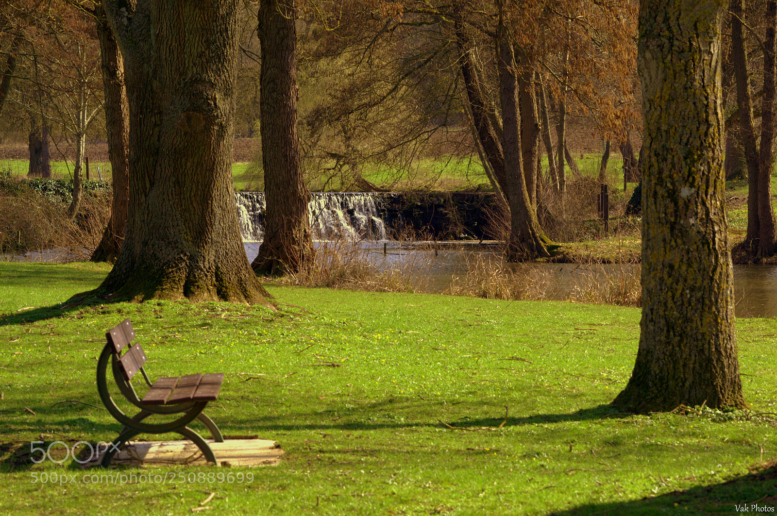 Nikon D3100 sample photo. Bench photography