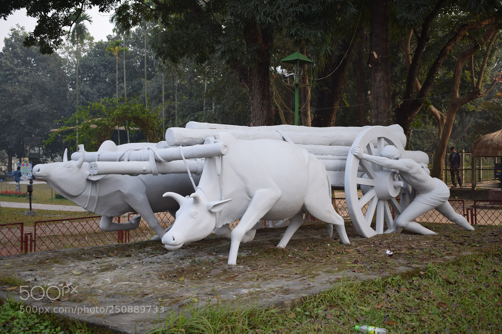 Nikon D3300 sample photo. Panam city panam nagor photography
