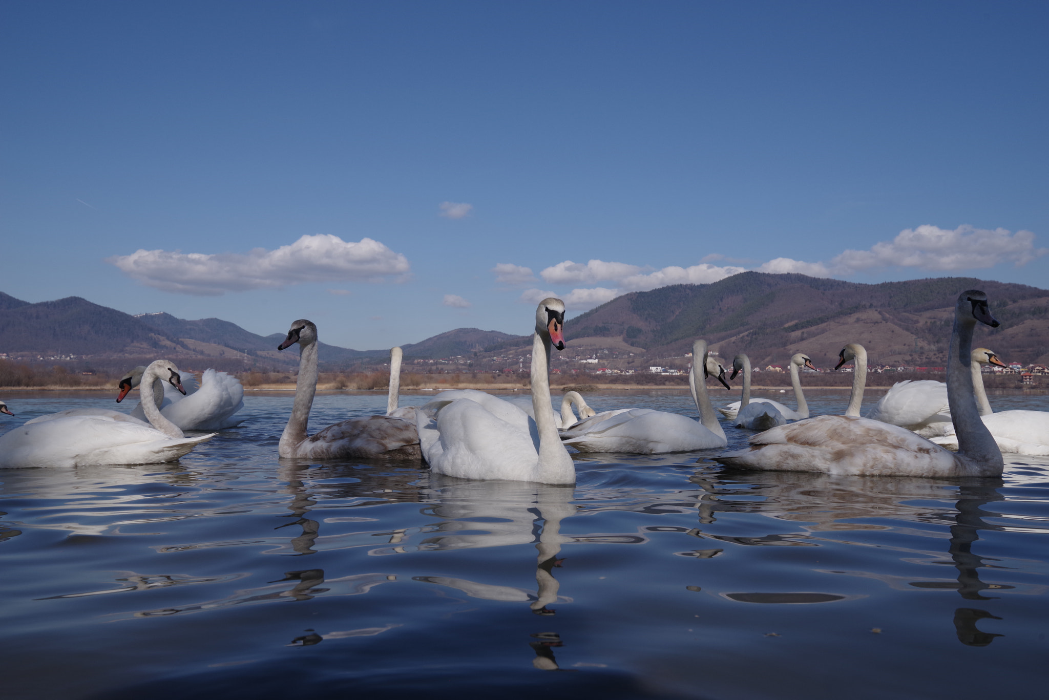 HD PENTAX-D FA 15-30mm F2.8 ED SDM WR sample photo. Do you like me? photography
