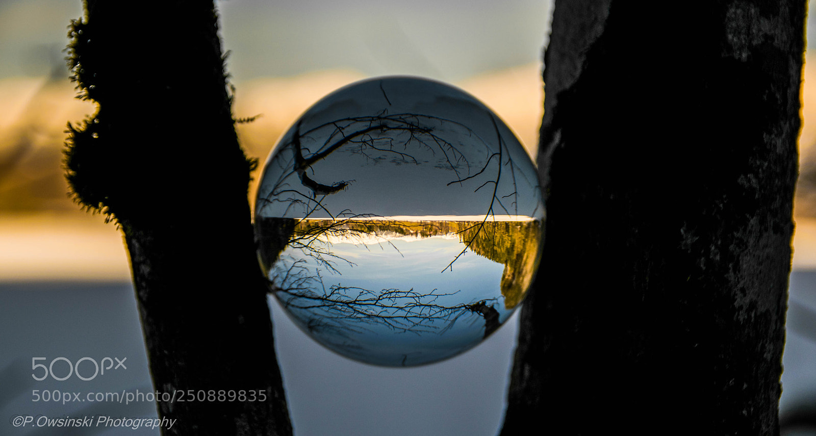 Nikon D5300 sample photo. Crystal ball refraction photography photography