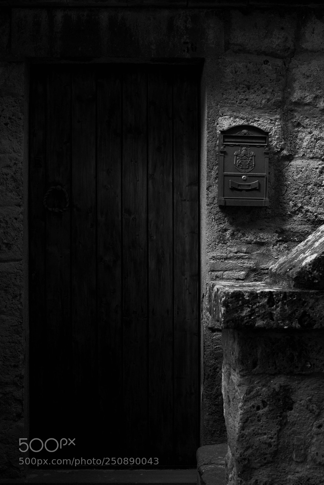 Nikon D610 sample photo. Untitled photography