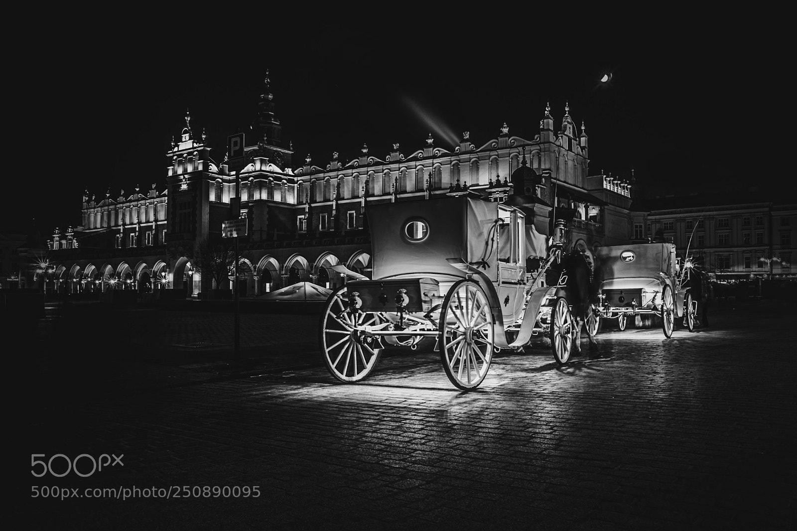 Canon EOS 5D Mark II sample photo. B&w photography