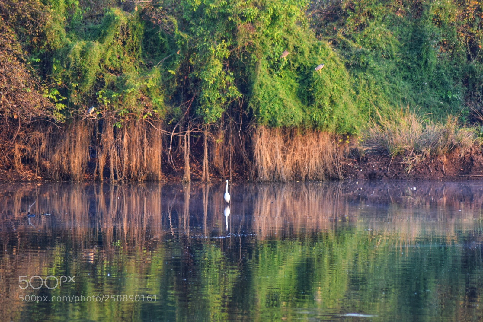 Nikon D3300 sample photo. Reflection photography