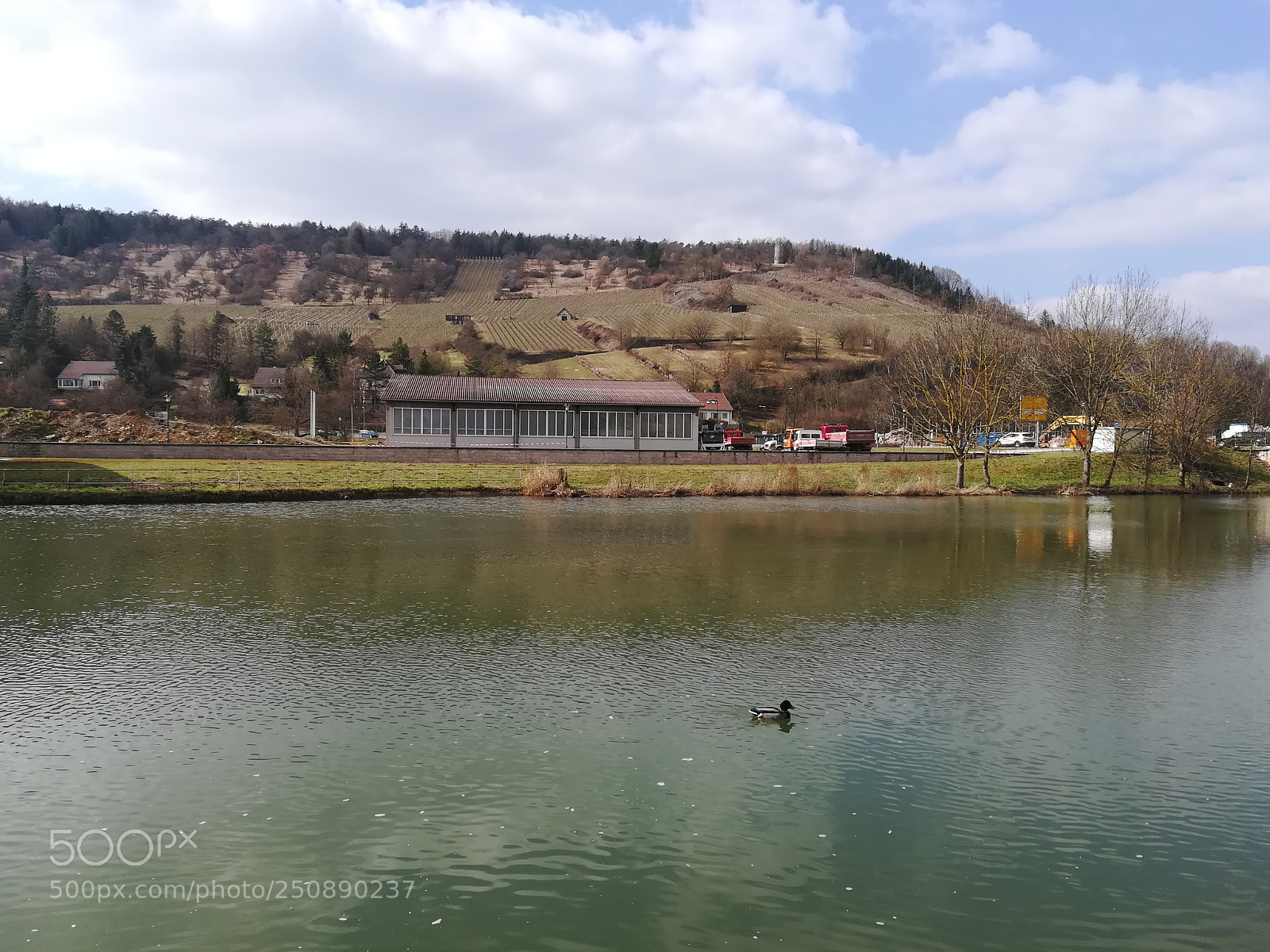 HUAWEI P10 lite sample photo. Primavera photography