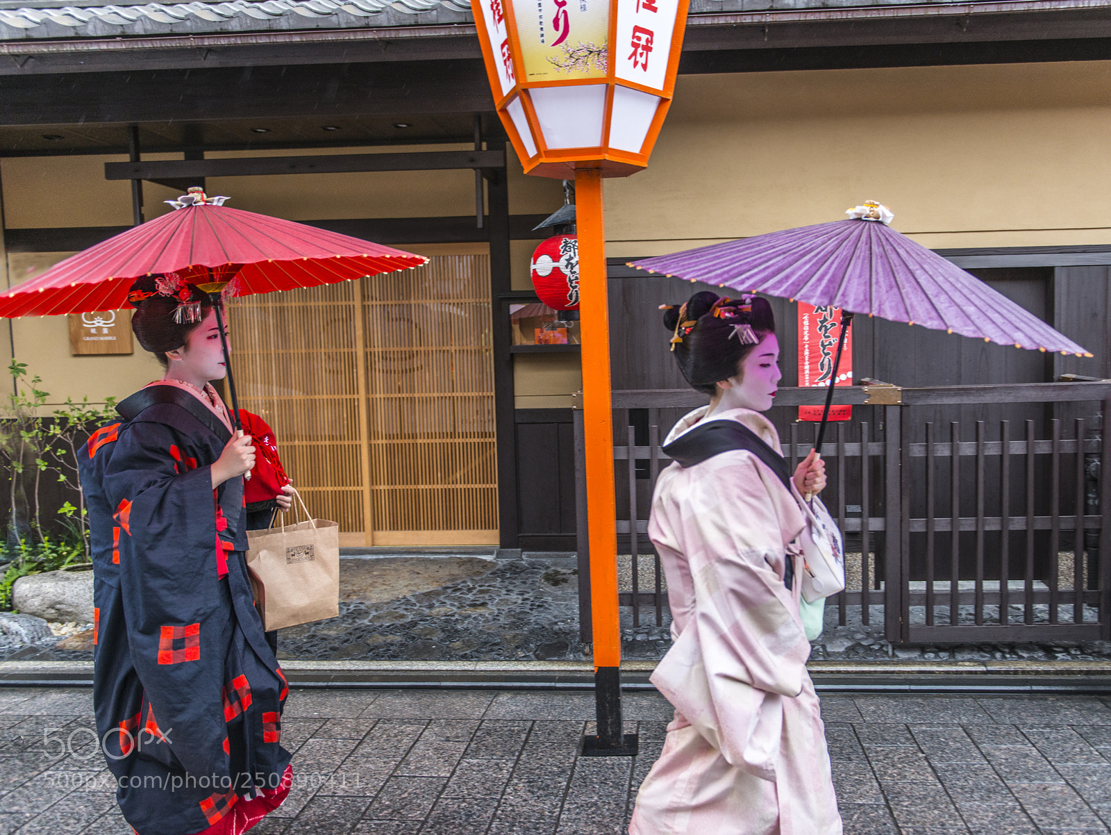 Nikon D800 sample photo. Memoirs of geisha photography