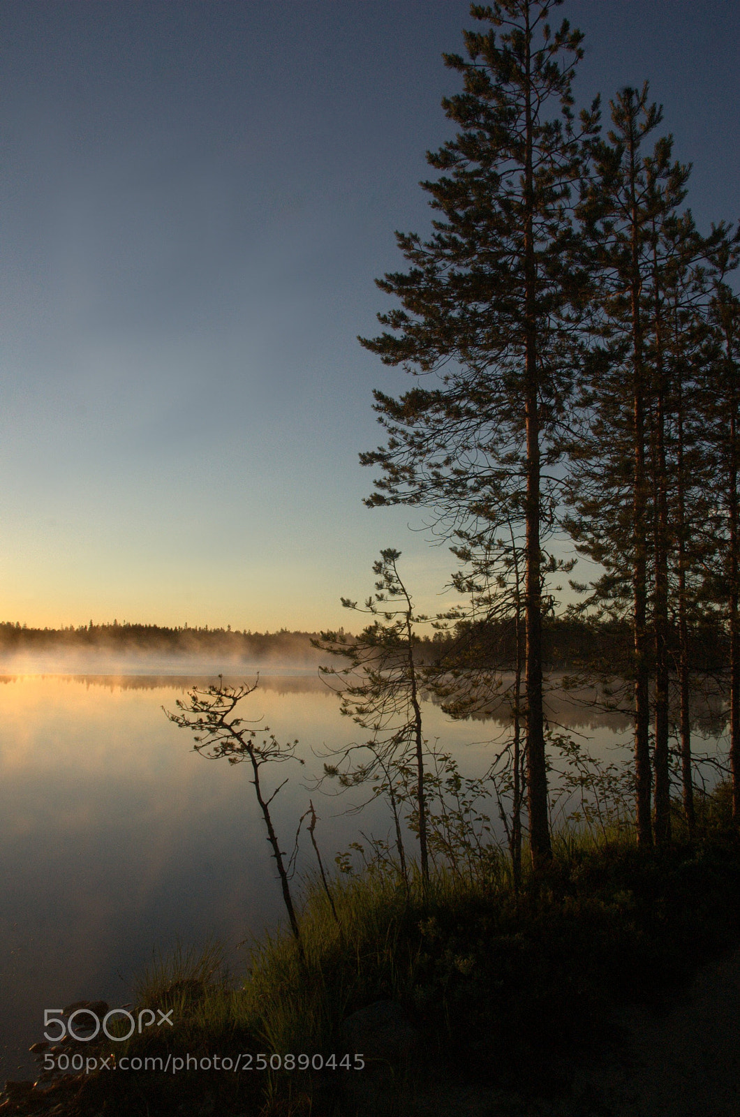 Nikon D40 sample photo. 5 am photography