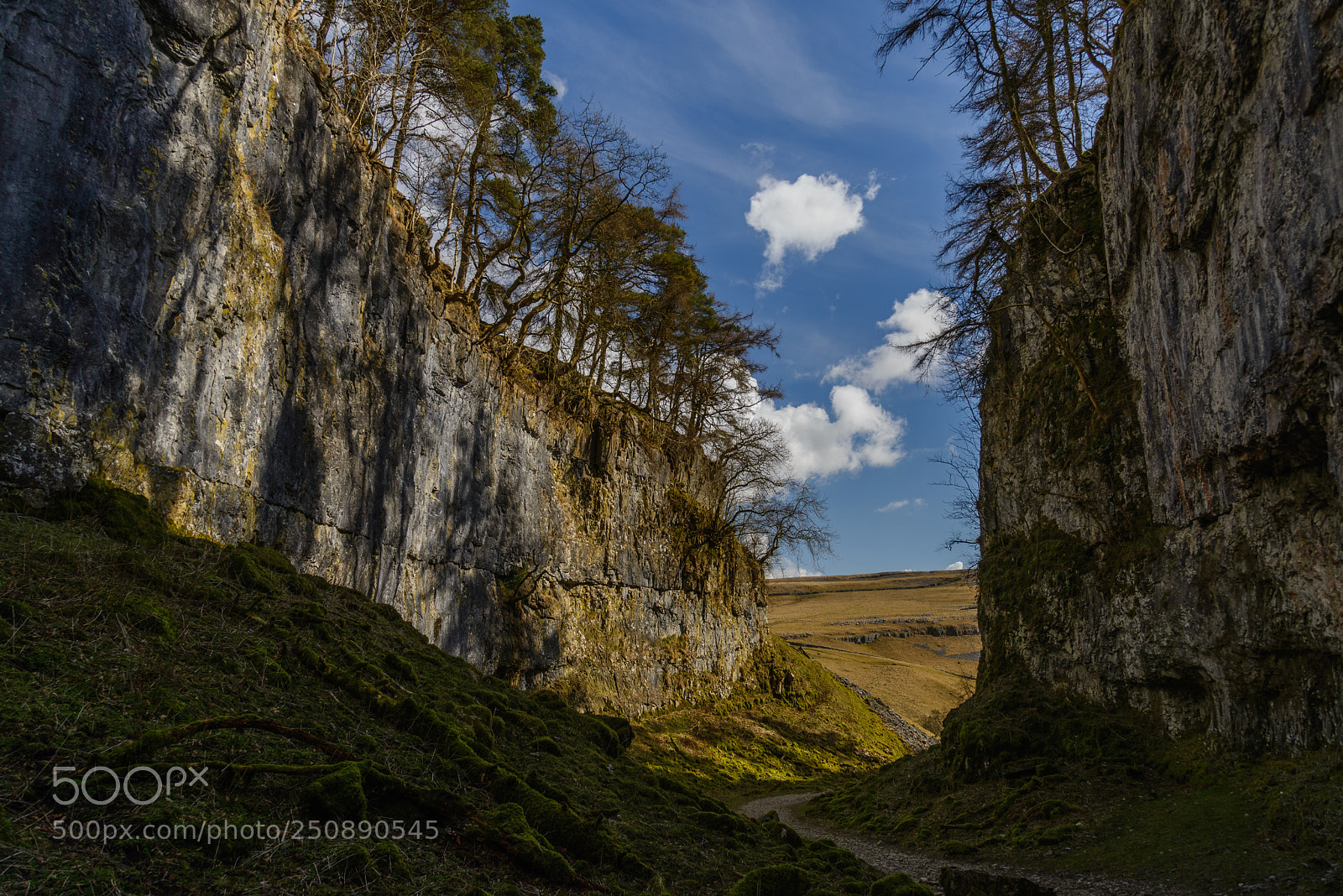 Nikon D610 sample photo. Trow gill photography