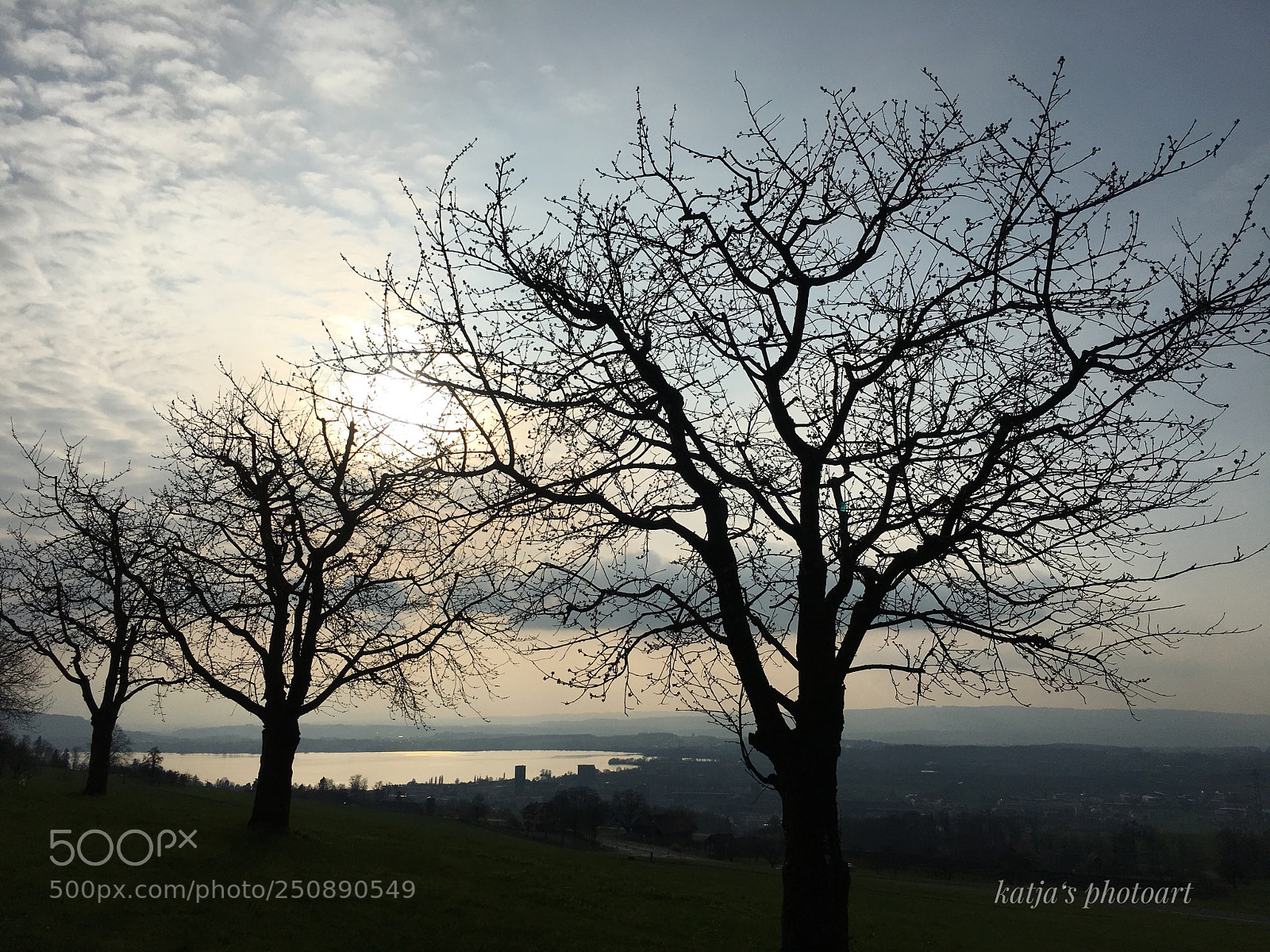 Apple iPhone 6s Plus sample photo. Bilck auf den zugersee photography