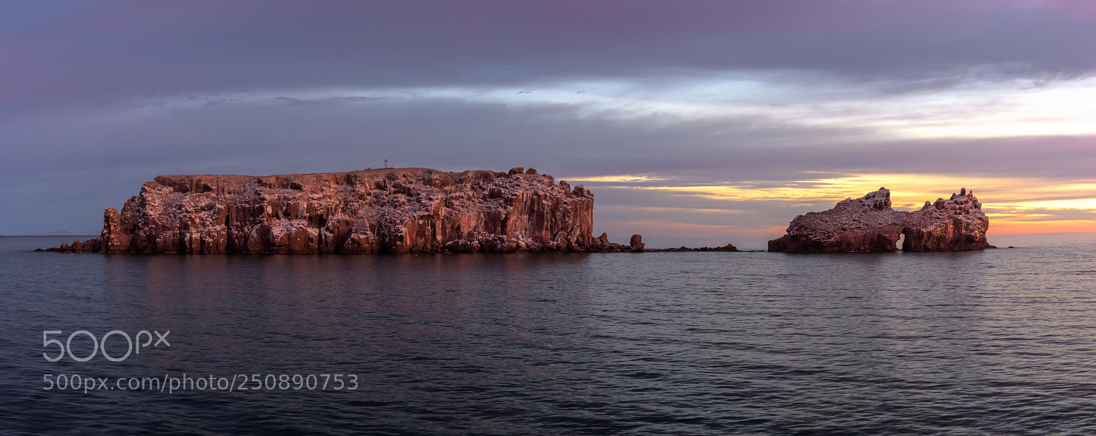 Nikon D500 sample photo. Isla los islotes at photography