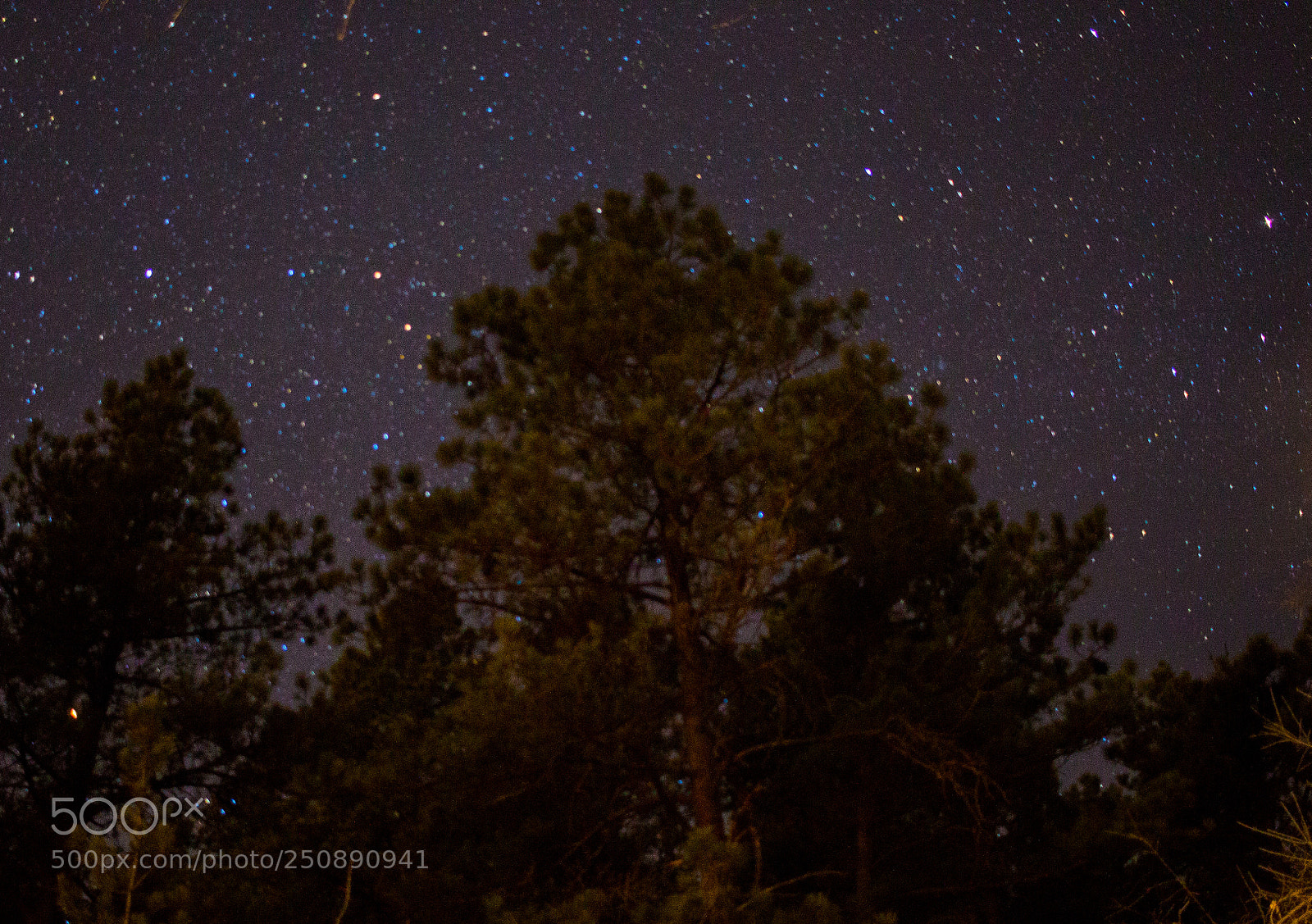 Canon EOS 700D (EOS Rebel T5i / EOS Kiss X7i) sample photo. Stars photography