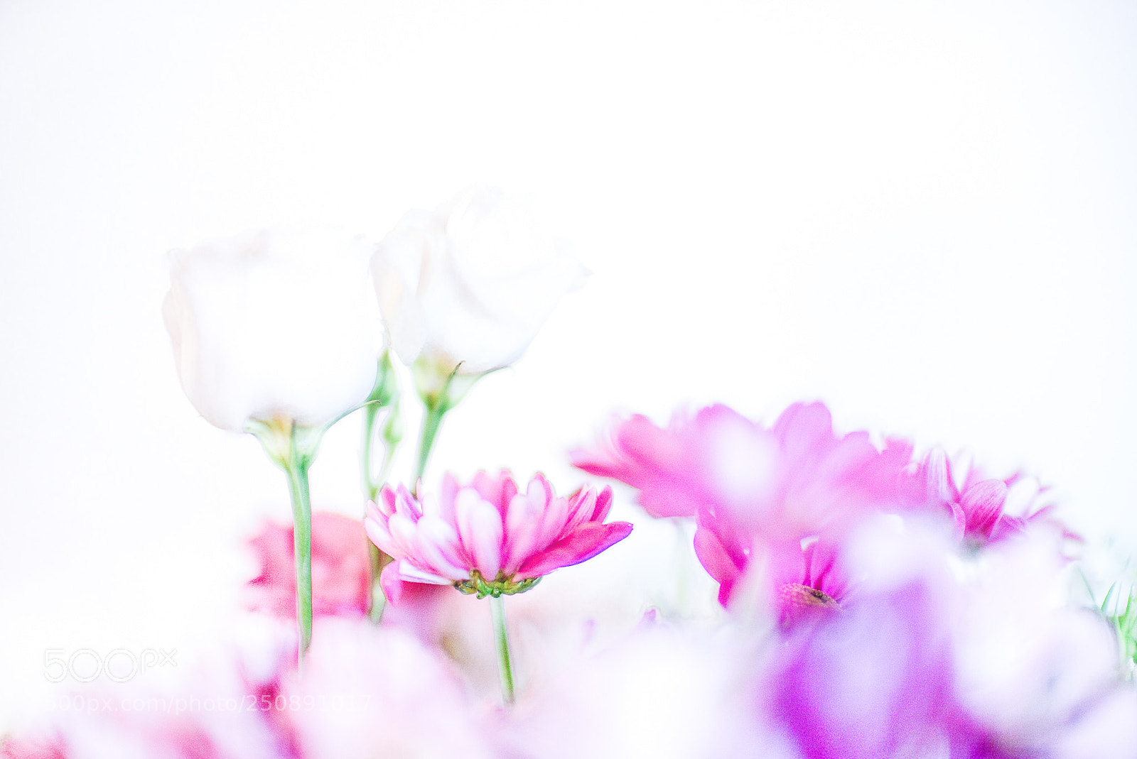 Leica M (Typ 240) sample photo. A "breeze" of flowers photography