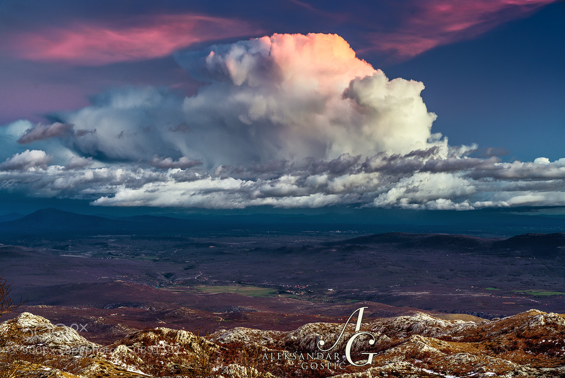 Nikon D850 sample photo. Not a bad view photography