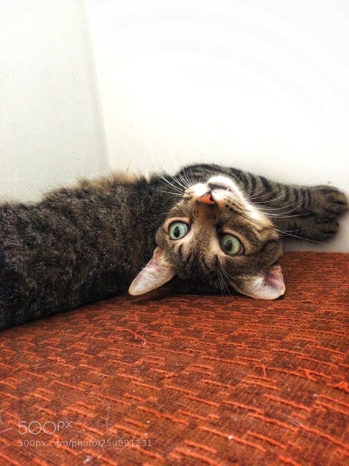 Apple iPhone 5s sample photo. Upside down photography