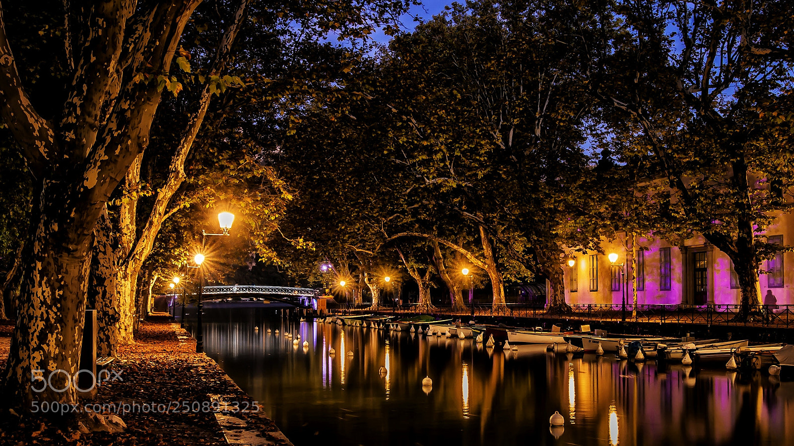 Nikon D800 sample photo. Autumn evening in annecy photography
