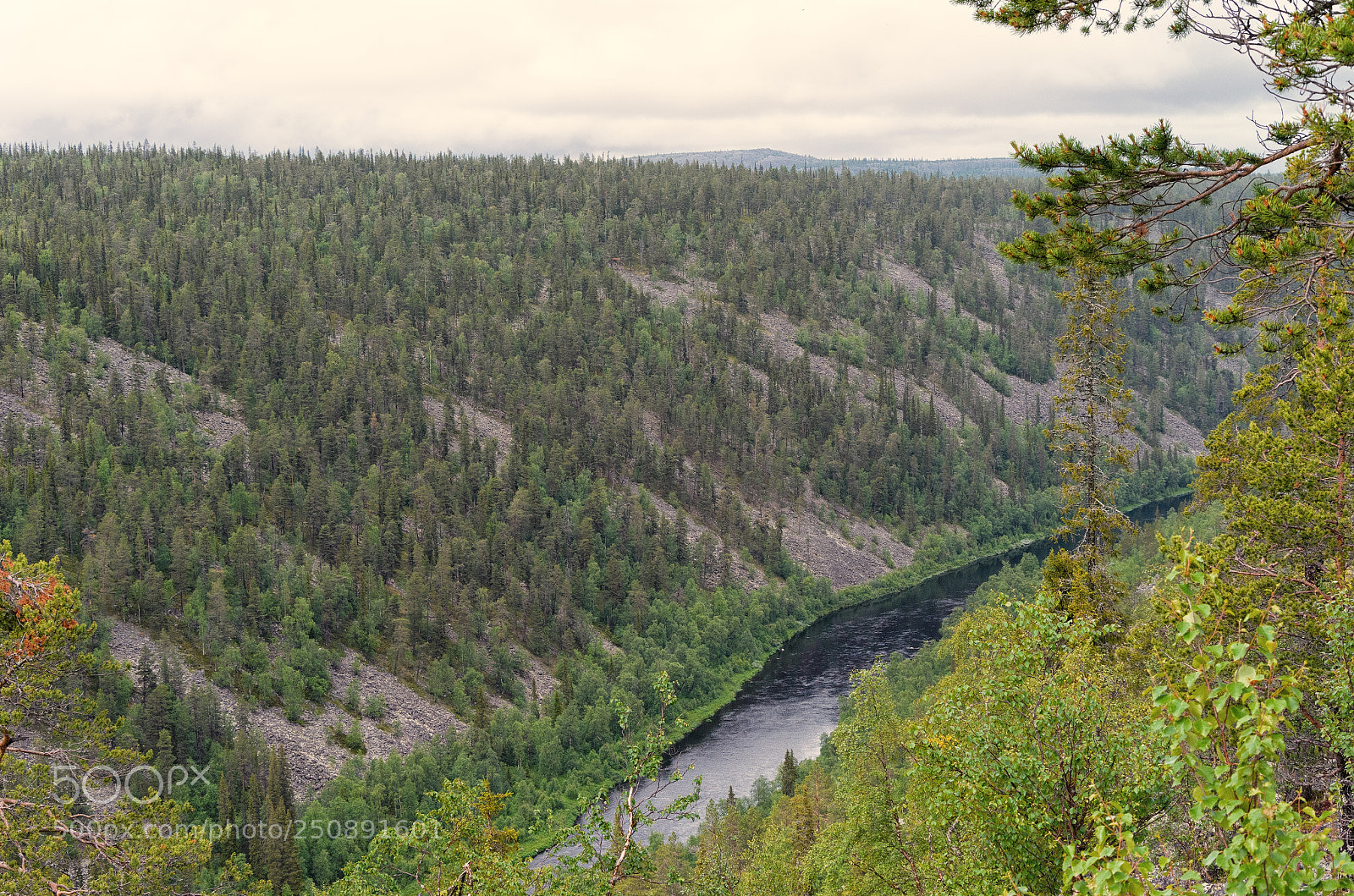 Nikon D7000 sample photo. River photography