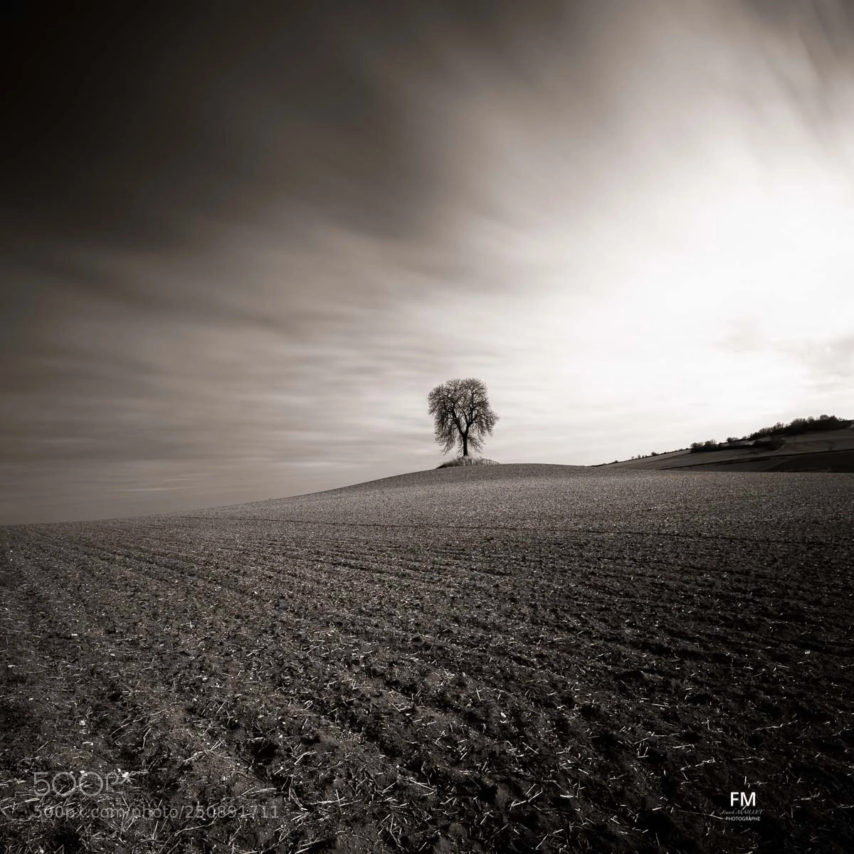 Sony a7R II sample photo. Arbre remarquable photography