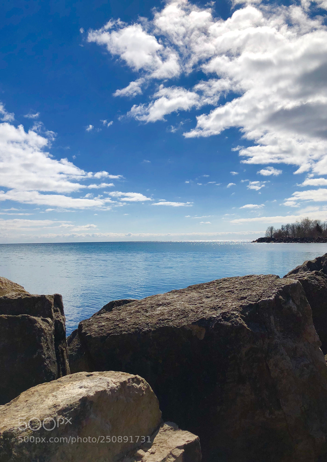Apple iPhone 8 sample photo. Elements photography