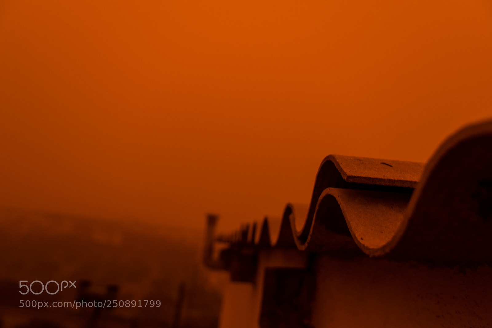 Nikon D3300 sample photo. Dusty day-no filter photography