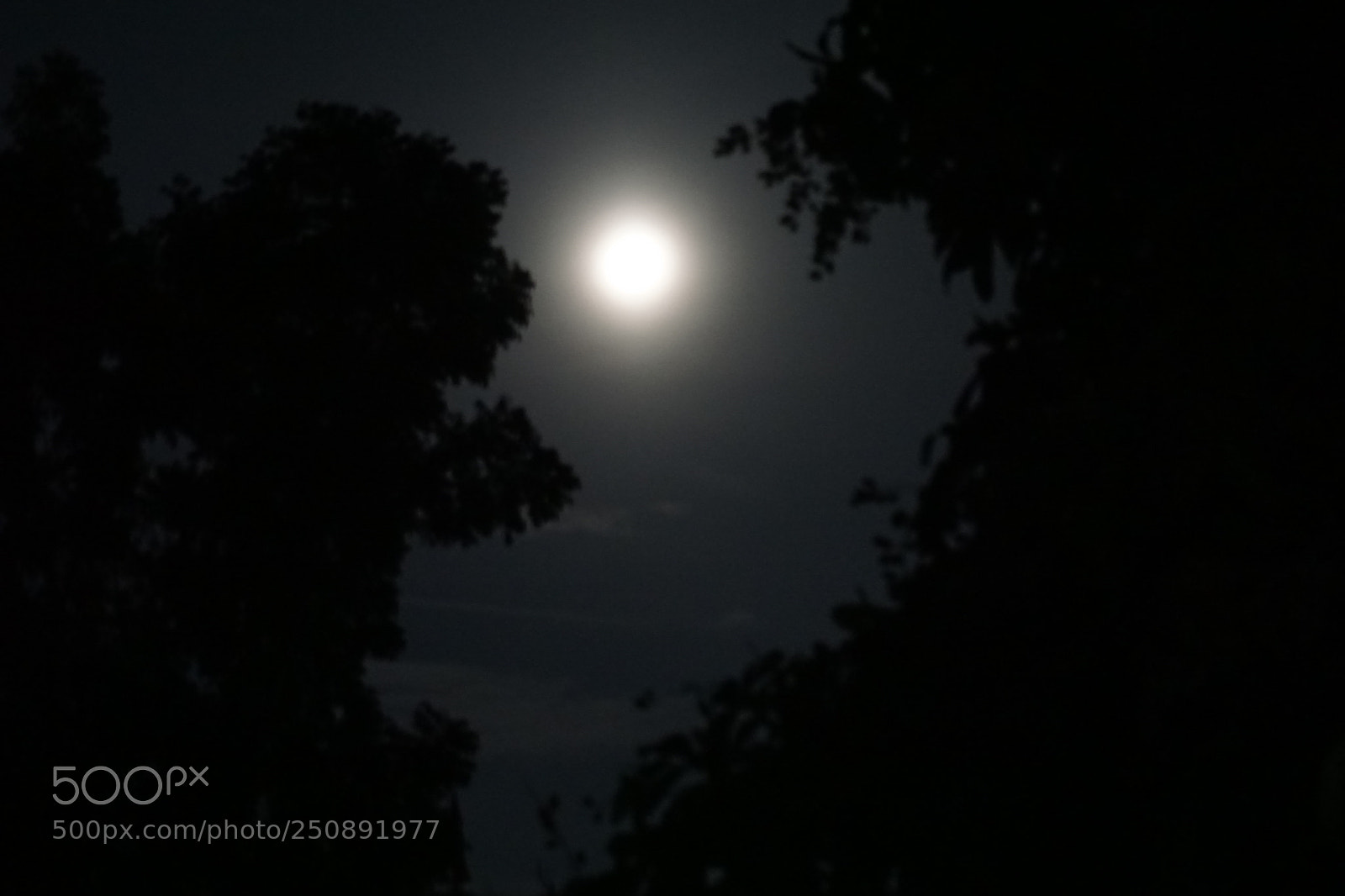 Sony a6000 sample photo. Untitled photography