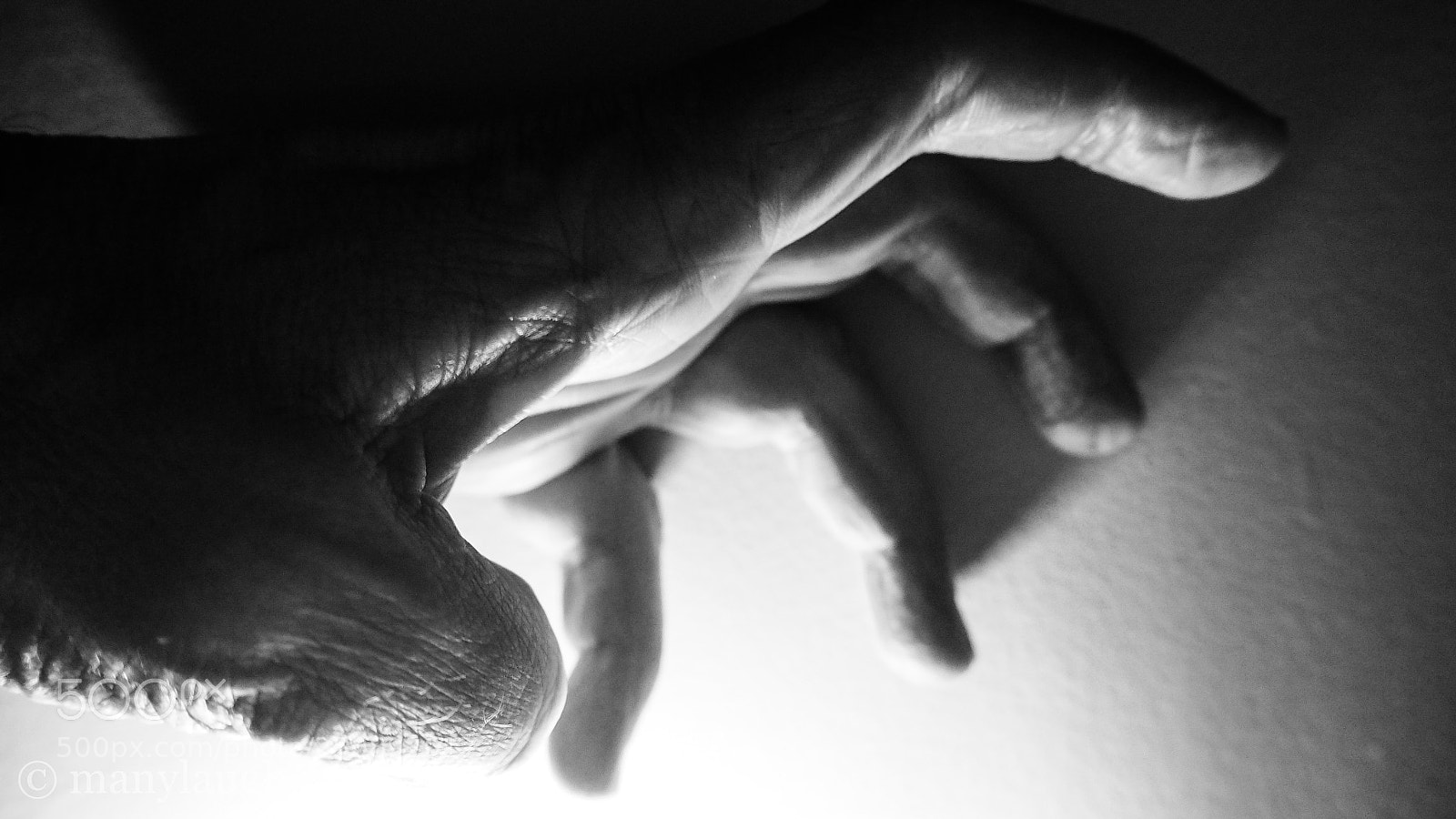 Olympus OM-D E-M10 III sample photo. The claw photography