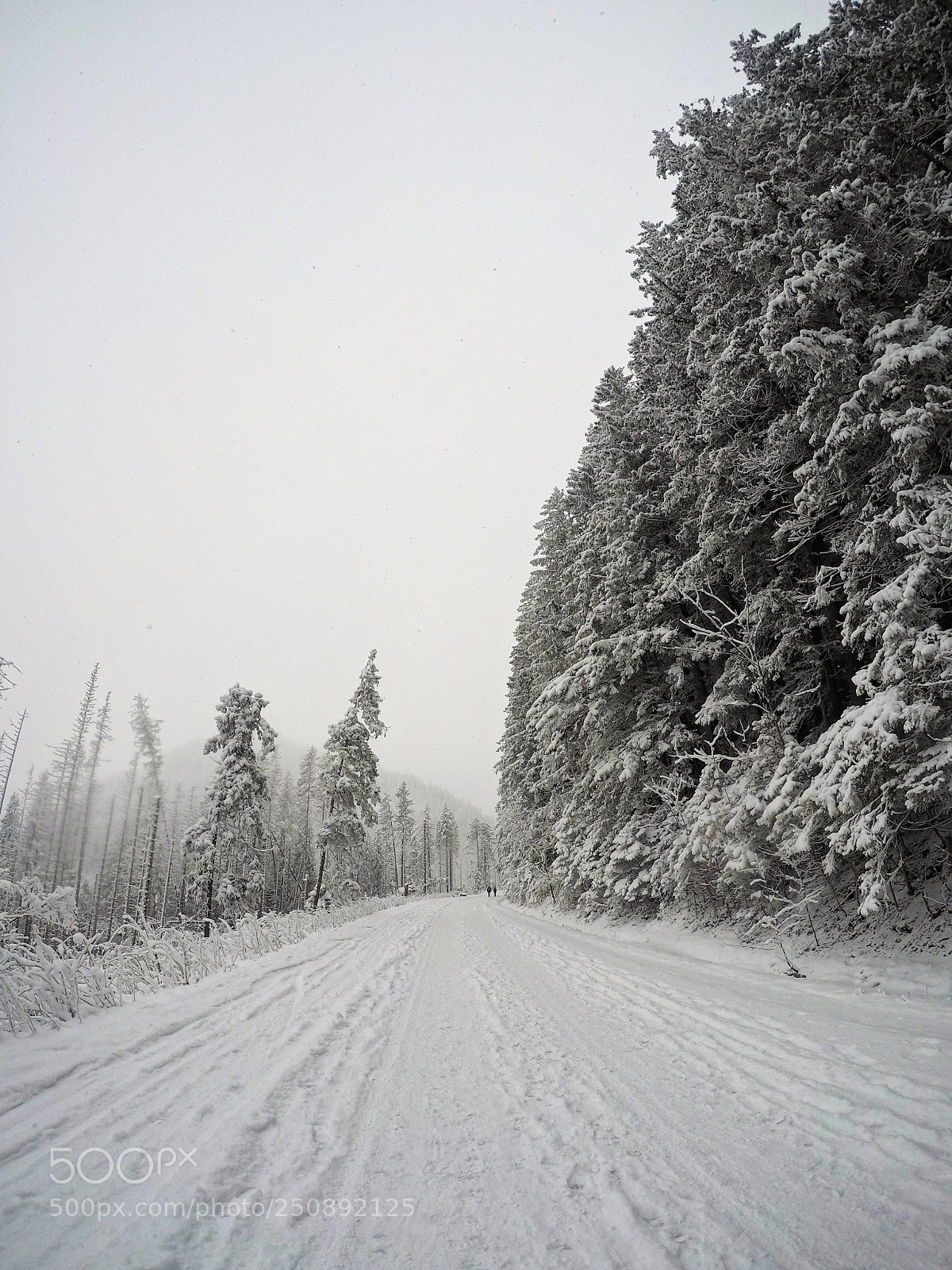 GoPro Hero5 Black sample photo. Way to morskie oko photography