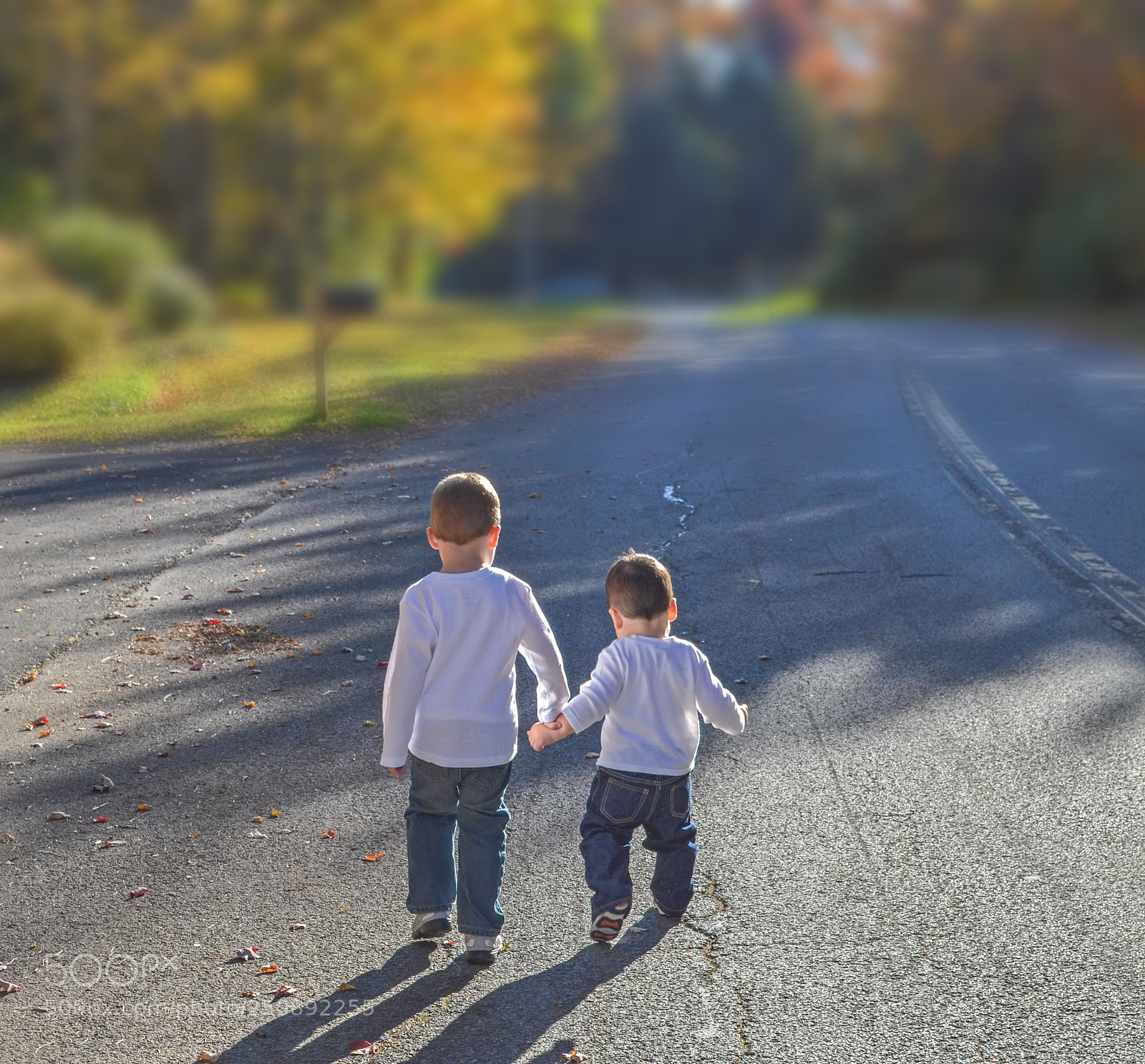Nikon D5100 sample photo. Brothers photography