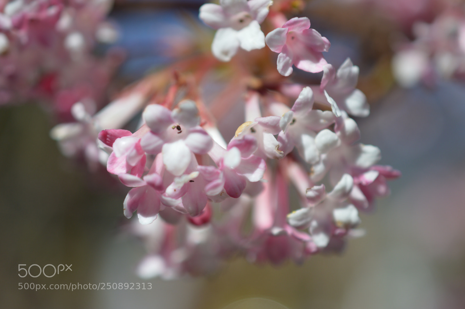 Nikon D3200 sample photo. Have a quiet evening  photography